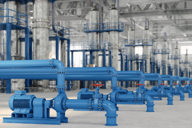 Best Sewer Line Repair  in Moose Wilson Road, WY